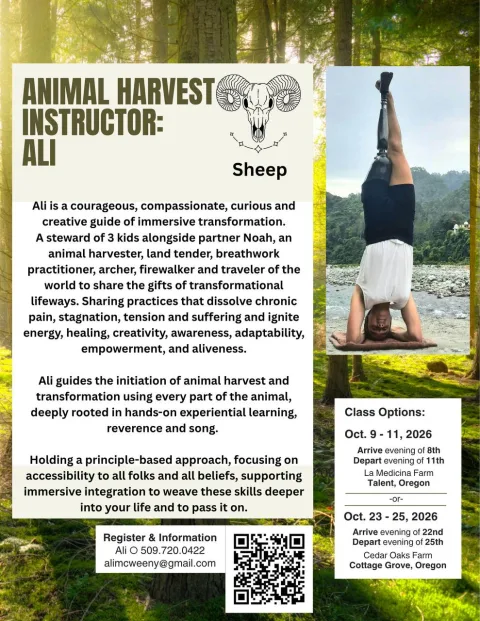 Animal Harvest with Ali